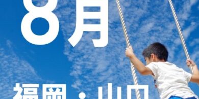 8月